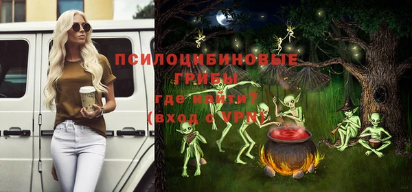 спиды Елизово