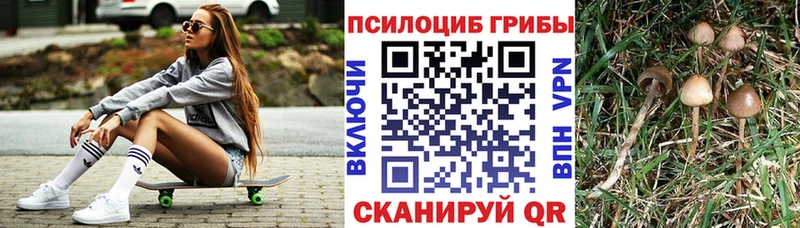 Псилоцибиновые грибы Psilocybine cubensis  где найти наркотики  Высоковск 